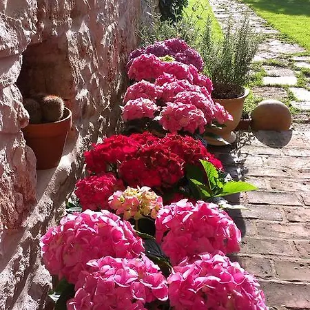 Dom wakacyjny Ca' Misola *